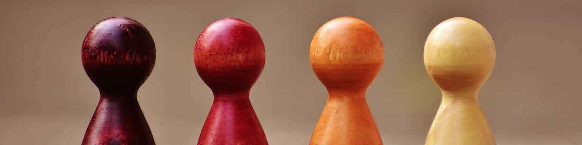 Roles de Equipo Belbin